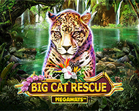 Big Cat Rescue Megaways